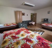 Prenájom 2-izbového apartmánu v Dunajskej Strede - Izba v 2-izbovom byte s posteľami, kreslami, televízorom a podlahou s dreveným dekorom.