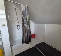 Prenájom 2-izbového apartmánu v Dunajskej Strede - Kúpeľňa v 2-izbovom byte s vaňou a sprchovým závesom lesného motívu.