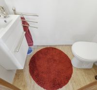 EXKLUZÍVNE 3-izbový rodinný dom v obci Moravské Kračany - Kúpeľňa v rodinnom dome s bielym umývadlom, záchodom a červeným koberčekom.