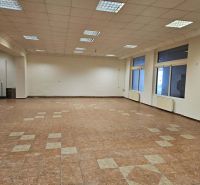 Exkluzívny obchodný priestor na predaj v centre Dunajskej Stredy – ul. - Priestranné obchodné priestory s dlažbou a osvetlením v interiéri.