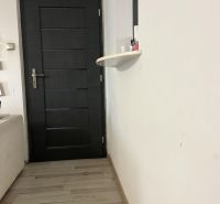 Nová Ponuka! 3 izbový byt na predaj v Dunajskej Strede - Interiér 3-izbového bytu s tmavými dverami a podlahou s dreveným dekorom.