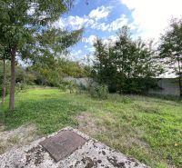 Na predaj stavebný pozemok na stavbu RD v Gabčíkove / 95 000,-EUR - Zeleň pozemku v Gabčíkove, ideálny na bývanie, v prírodnom prostredí.