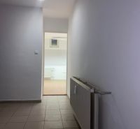 -Na prenájom menší priestor v suteréne  v srdci  mesta Dunajskej Stred - Chodba s radiátorom vedie do miestnosti s podlahou s dreveným dekorom v kancelárii.