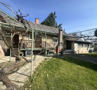 Rodinný dom s veľkým potenciálom v obci Dolný Štál – ideálny na bývani - Záhrada pri rodinnom dome v Dolnom Štále s altánkom a viničom.