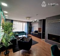 Znížená cena    Luxusný 4-izbový rodinný dom s letnou kuchyňou a nádhe - Obývačka v rodinnom dome s podlahou s dreveným dekorom, pohovkou a rastlinou.