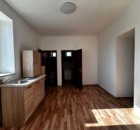 Na predaj 2-izb. byt v dvojdome (110 m²) v štandarde s krbom – Možnosť - Kuchyňa v rodinnom dome s podlahou s dreveným dekorom a kuchynskou linkou.