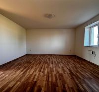 Na predaj 2-izb. byt v dvojdome (110 m²) v štandarde s krbom – Možnosť - Priestranná izba s podlahou s dreveným dekorom a veľkým oknom v rodinnom dome.