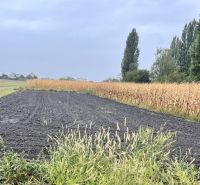 ZNÍŽENÁ CENA! Stavebný pozemok o rozlohe 557 m2 v Holiciach! - Pozemky - bývanie v Holiciach obklopené úrodnou čiernou pôdou a kukuričným poľom.