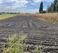 ZNÍŽENÁ CENA! Stavebný pozemok o rozlohe 557 m2 v Holiciach! - Poľnohospodárska pôda a kukurica v Holiciach, vhodné pre Pozemky - bývanie.