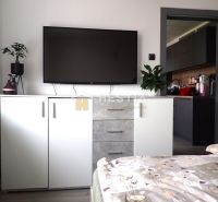 Moderný 3-izbový byt s lodžiou po rekonštrukcii - Izba s televízorom, skrinkami a pohľadom do kuchyne v 3-izbovom byte.