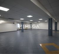 Na prenájom - priestor 185 m2 v centre mesta Humenné - Obchodné priestory s keramickou podlahou a stropnými panelmi, prázdny a otvorený priestor.