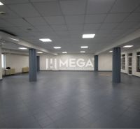 Na prenájom - priestor 185 m2 v centre mesta Humenné - Priestranné obchodné priestory s tmavou dlažbou a podhľadovým stropom, vhodné pre podnikanie.