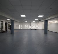 Na prenájom - priestor 185 m2 v centre mesta Humenné - Priestranné obchodné priestory s modrou dlažbou a stĺpmi ponúkajú rôzne možnosti využitia.