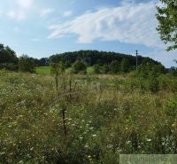 Veľký, vyše 4,5Ha slnečný pozemok s chalupou v strede, na lazoch, pri  - Kvitnúca lúka v okolí chaty v Hrušove s lesom na pozadí.