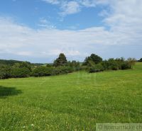 Veľký, vyše 4,5Ha slnečný pozemok s chalupou v strede, na lazoch, pri  - Zelená lúka s kvetmi, obloha s oblakmi, lesy v okolí Hrušova blízko chaty.
