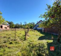 Rodinný dom s veľkým pozemkom 2 908 m² v obci Žiar - Záhrada s ovocnými stromami pri rodinnom dome v Žiari, obklopená oplotením.