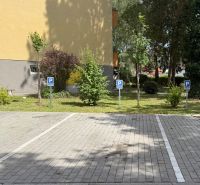 Super cena! 3i byt s parkovacím miestom a záhradnou chatkou - Parkovacie miesta pred 3-izbovým bytom na ulici Pred poľom v Trenčíne.