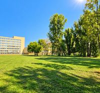 Priestranný 2i byt, loggia, klíma, projekt MONDRIAN, Sedmokrásková ul. - Trávnik s množstvom stromov a obytnými budovami na Sedmokráskovej ulici, Bratislava - Ružinov.