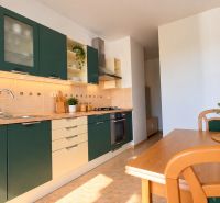 Priestranný 2i byt, loggia, klíma, projekt MONDRIAN, Sedmokrásková ul. - Kuchyňa v 2-izbovom byte s dreveným dekorom a zelenými skrinkami, jedálenský stôl s izbovou rastlinou.