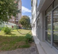 NA PREDAJ priestranný 3-izbový byt s loggiou v Bratislave Devínska N V - Bytový dom v Devínskej Novej Vsi na Eisnerovej ulici, Bratislava, s trávnatou plochou a stromami.