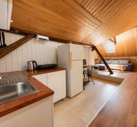 INVESTIČNÁ PRÍLEŽITOSŤ V SRDCI ŠTÚROVA - ZABEHNUTÉ APARTMÁNY - Podkrovný priestor s kuchynkou, pohovkou, oknom a podlahou s dreveným dekorom v rodinnom dome.