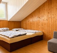 INVESTIČNÁ PRÍLEŽITOSŤ V SRDCI ŠTÚROVA - ZABEHNUTÉ APARTMÁNY - Drevený obklad v podkroví, posteľ a kreslo v rodinnom dome.