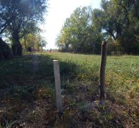 Pozemok s výmerou 511m2 v Martovciach-pri rieke Žitava. - Trávnatý pás s drevenými kolíkmi na Rekreačných pozemkoch v Martovciach, obklopený stromami.