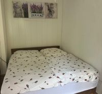 Prenájom 3-izb bytu Bratislava - Koliba - Spálňa s manželskou posteľou v 3-izbovom byte, podlaha s dreveným dekorom, závesný luster.