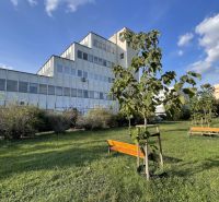 PRENÁJOM KANCELÁRIE 13,5 m² – KOMÁRNO, ZÁHRADNÍCKA ULICA - Kancelárie na Záhradníckej ulici v Komárne s lavičkami a mladými stromami.