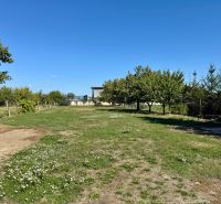 5 IZB. RODINNÝ DOM S ROZĽAHLÝM POZEMKOM 2 751 m² – NADLICE - Záhrada s trávnikom v Nadliciach pri rodinnom dome, lemovaná stromami a oplotením.