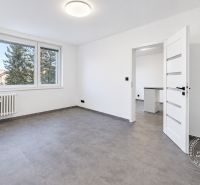 Moderný 2-izbový byt, Stará Ľubovňa, Tatranská ul. - Priestranná svetlá miestnosť v 2-izbovom byte, s veľkým oknom a vstupnými dverami.
