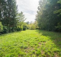 I Pozemok s chatou v Devíne, pokoj a príroda na dosah - Zeleň na rekreačných pozemkoch v Bratislave - Devíne, Devínska cesta, obklopená stromami.
