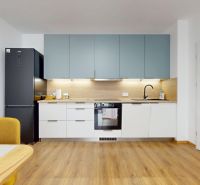 PRENÁJOM 2 izbový, zariadený byt v Danube residencia - REZERVOVANÉ - Kuchyňa v 2-izbovom byte s modernou linkou a podlahou s dreveným dekorom.