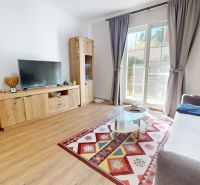 PRENÁJOM 2 izbový, zariadený byt v Danube residencia - REZERVOVANÉ - Obývacia izba v 2-izbovom byte s podlahou s dreveným dekorom a farebným kobercom.