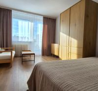 Moderne vybavený a zariadený 1-izbový byt s balkónom na sídlisku JUH - Izba s veľkým oknom, gaučom, posteľou, skriňou a podlahou s dreveným dekorom v 1-izbovom byte.