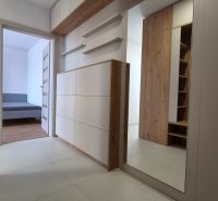 Moderne vybavený a zariadený 1-izbový byt s balkónom na sídlisku JUH - Interiér s podlahou s dreveným dekorom a zrkadlom v 1-izbovom byte.