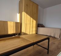 Moderne vybavený a zariadený 1-izbový byt s balkónom na sídlisku JUH - Interiér 1-izbového bytu s posteľou, dreveným nábytkom a podlahou s dreveným dekorom.