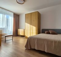 Moderne vybavený a zariadený 1-izbový byt s balkónom na sídlisku JUH - Svetlá izba s posteľou, kreslom a nábytkom v 1-izbovom byte, podlaha s dreveným dekorom.