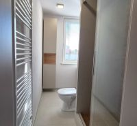 Moderne vybavený a zariadený 1-izbový byt s balkónom na sídlisku JUH - Kúpeľňa so sprchovým kútom, toaletou a moderným radiátorom v 1-izbovom byte.