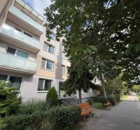 Na prenájom zariadený 2 - izb. byt, Senica, Štefánikova ul. - Bytový dom na Štefánikovej ulici v Senici s okolitou zeleňou a chodníkom.