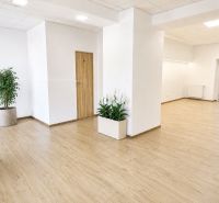 Na prenájom obchodný priestor v centre Pezinka 100m2 - Svetlé obchodné priestory s bielymi stenami a podlahou s dreveným dekorom.