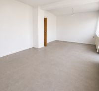 Priestranný 5izbový RD v Dolných Orešanoch 733m2 - Priestranná miestnosť so svetlými stenami, podlahou s dreveným dekorom a veľkými oknami.