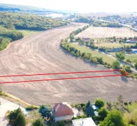 Podhájska - 2.084 m2 POZEMOK na okraji obce - Poľnohospodárske a lesné pozemky v Podhájskej obklopené stromami a cestou.