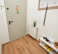  Predaj zrekonštruovanej garsónky v centre mesta Mosonmagyaróvár - Vstupná hala v 1-izbovom byte s podlahou s dreveným dekorom a úložným priestorom.
