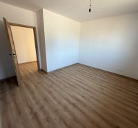 Novostavba rodinný dom Preseľany  - Miestnosť v rodinnom dome s podlahou s dreveným dekorom a drevenými dverami.
