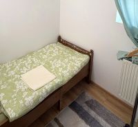 Útulné a kompletne zariadené bývanie v rodinnom dome so záhradkou – Pi - Jednolôžková posteľ, stojan na oblečenie, zelené závesy, podlaha s dreveným dekorom.