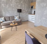 ViBee Liptov:apartmán s odhadom 5 % hrubého výnosu a vlastnými pobytmi - Minimalistická obývačka v 2-izbovom byte s podlahou s dreveným dekorom a šedou sedačkou.