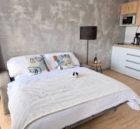 ViBee Liptov:apartmán s odhadom 5 % hrubého výnosu a vlastnými pobytmi - 2-izbový byt s pohovkou rozloženou na posteľ, kuchynkou a podlahou s dreveným dekorom.