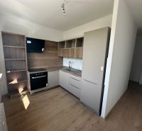 2-izb. byt, Galbavého, Dúbravka, kompletná rekonštrukcia  - Kuchyňa v 2-izbovom byte s podlahou s dreveným dekorom a vstavanými spotrebičmi.