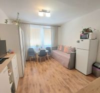 KOMPLETNE PREROBENÁ GARSÓNKA + PIVNICA: Nitra – Chrenová !  - Garsónka s podlahou s dreveným dekorom, stolom so stoličkami a pohovkou.